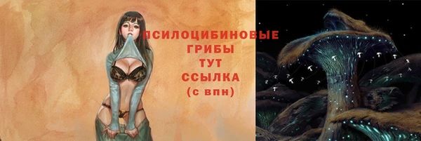 стафф Алексеевка