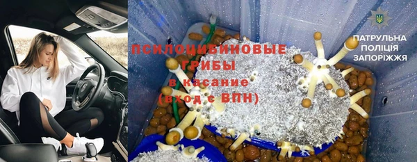 стафф Алексеевка
